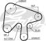CORREAS PARA AUTOMOCION KP15630XS - KIT CORREA DE DISTRIBUCION
