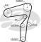 CORREAS PARA AUTOMOCION KP45623XS - KIT CORREA DE DISTRIBUCION