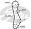 CORREAS PARA AUTOMOCION KP15579XS2 - KIT CORREA DE DISTRIBUCION
