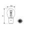 AMOLUX LAMPARAS B35 - BOSCH AUTO/MOTO 12V 35/35W